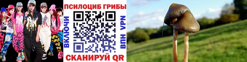 дарк нет Telegram  hydra ССЫЛКА  Фролово  Галлюциногенные грибы Psilocybe 