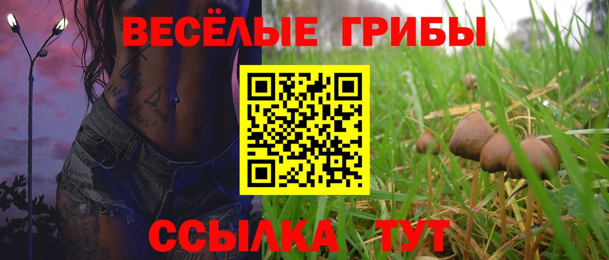 Фролово  КОКАИН  APVP СОЛЬ кристаллы  Вход с VPN  ГАШИШ  Меф  Бошки Шишки  Меф МЯУ МЯУ  